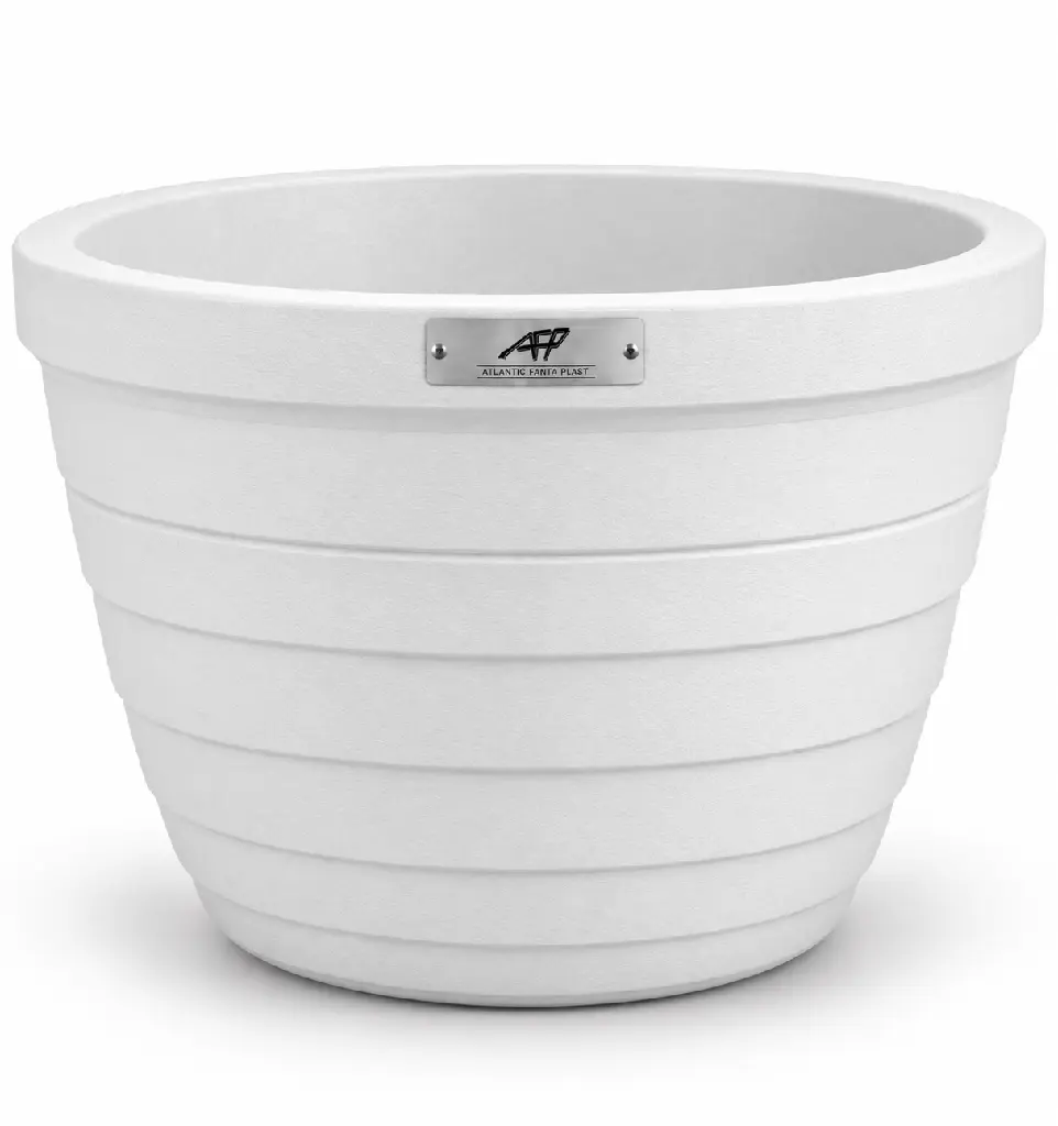 PATIO BLANC VIERGE.webp