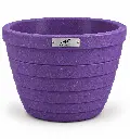 PATIO VIOLET RECYCLE.webp