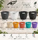 PATIO 43 COULEURS.webp