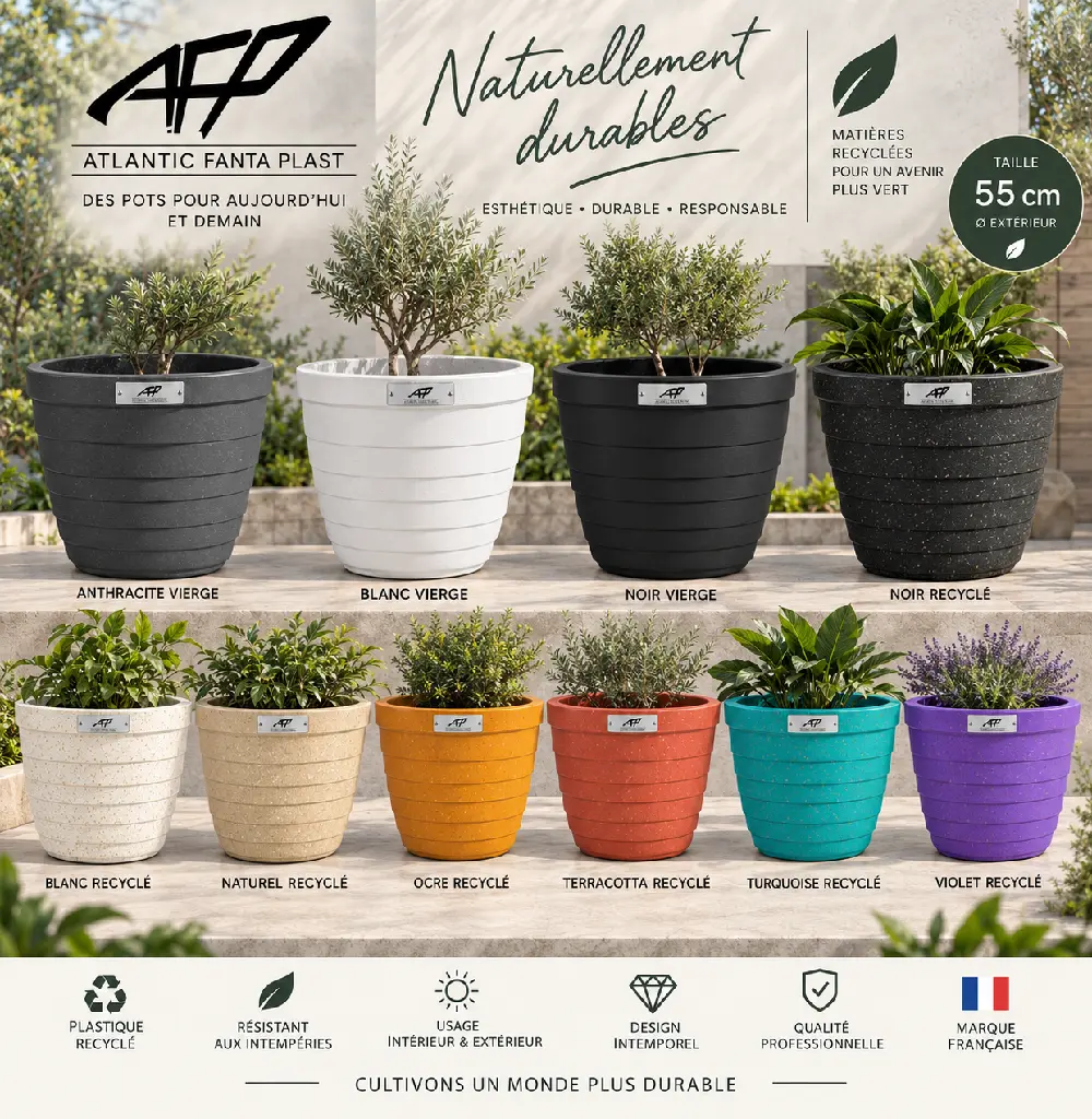 patio 55 couleurs.webp