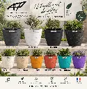 patio 55 couleurs.webp