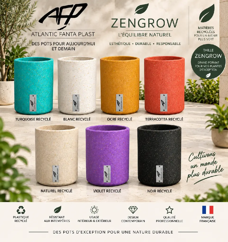 ZENGROW COULEURS.webp