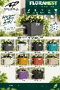 FLORANEST COULEURS.webp