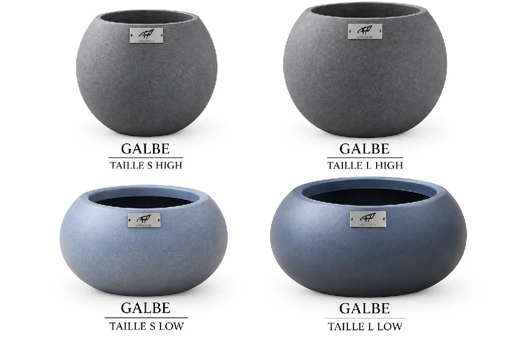 TAILLE GALBE.webp