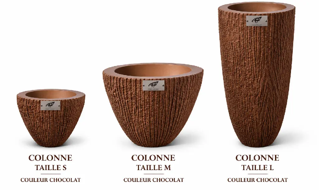 taille colonne.webp