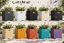 couleurs carabe 60.webp
