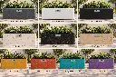 couleurs carabe 90.webp