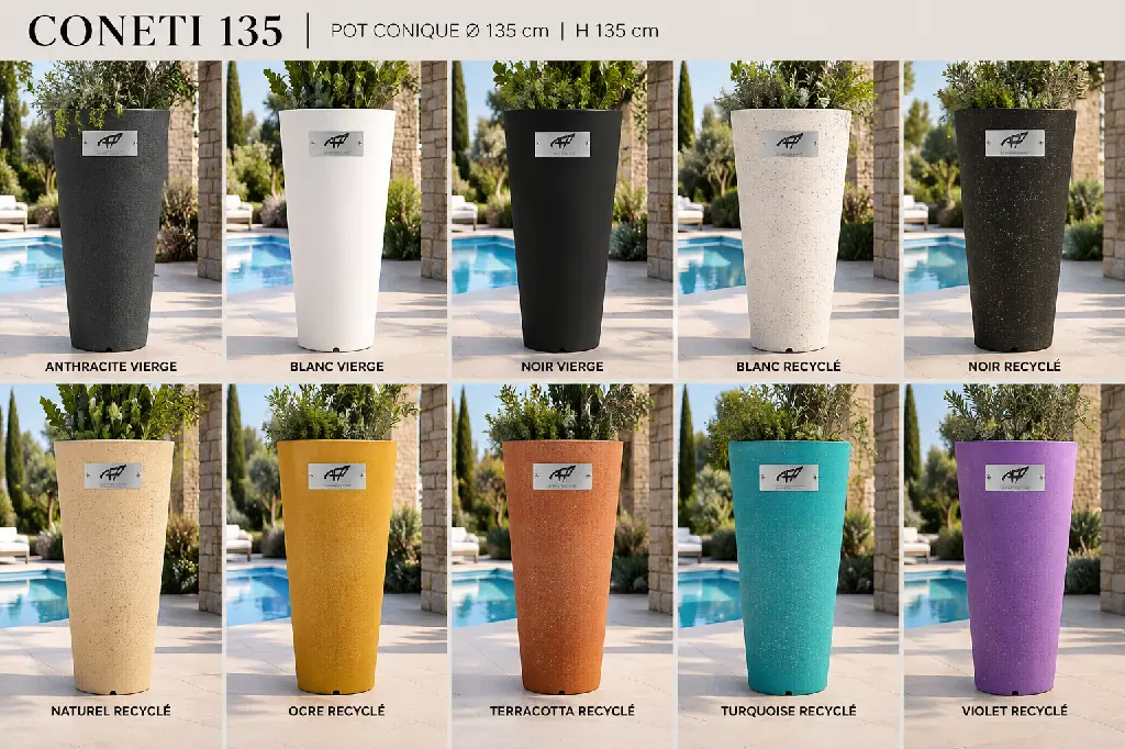 couleurs coneti 135.webp