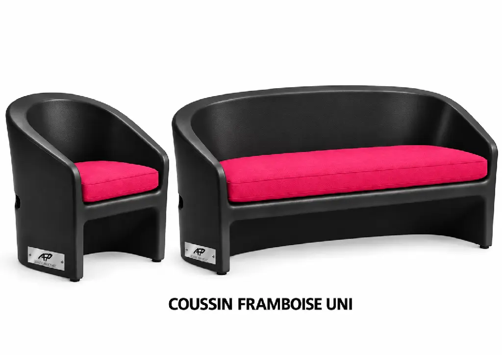 PRESENTATION COUSSIN FRAMBOISE UNI.webp