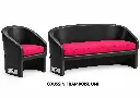 PRESENTATION COUSSIN FRAMBOISE UNI.webp