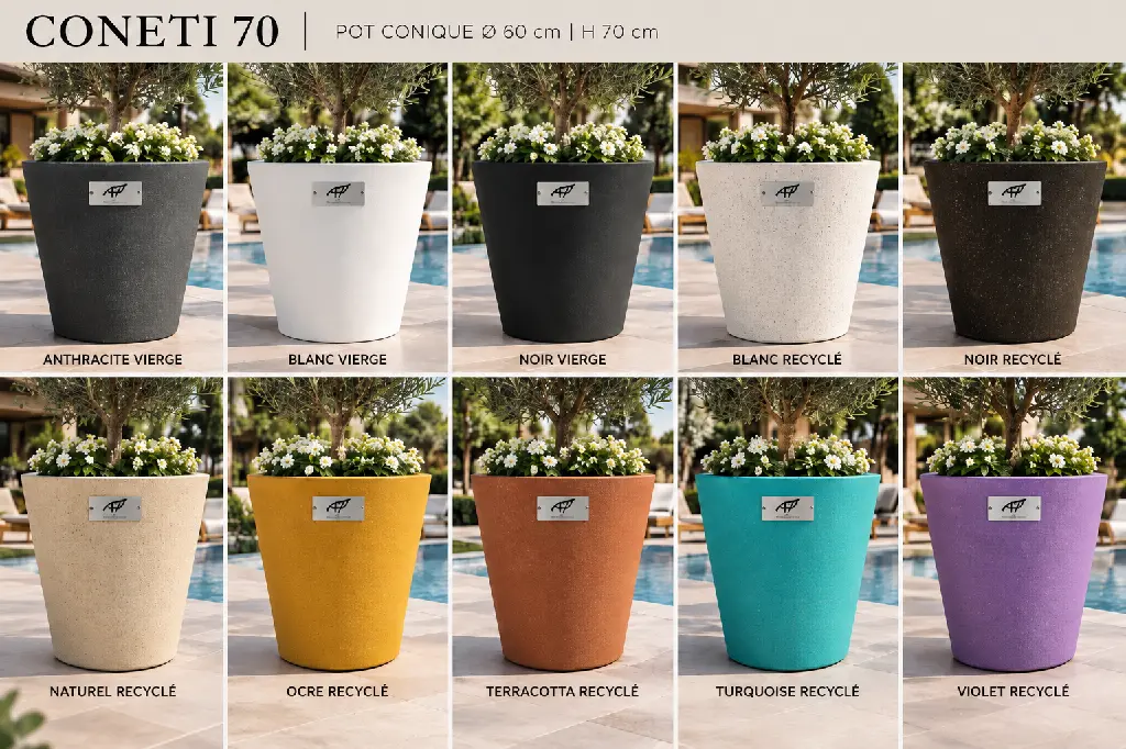 couleurs coneti 70.webp