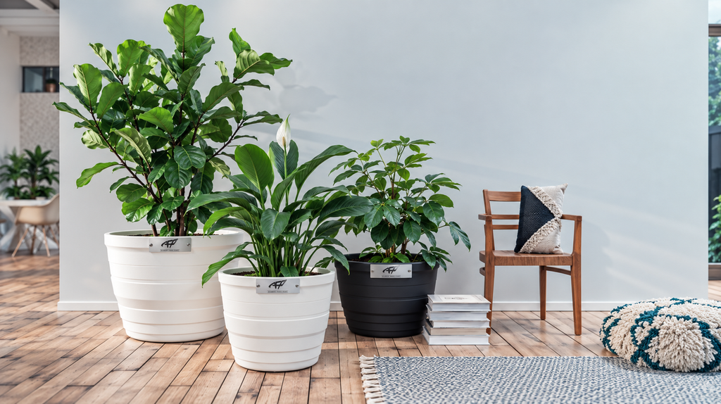 PATIO 43 (Anthracite vierge (code 6748))