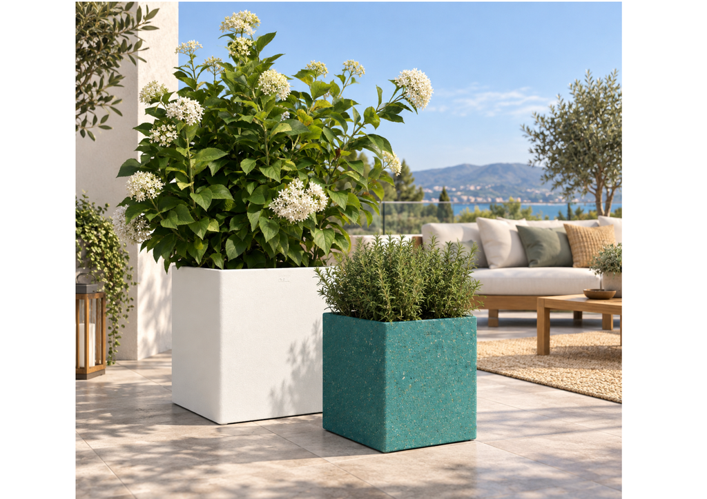 CARABE 60 (Anthracite vierge)