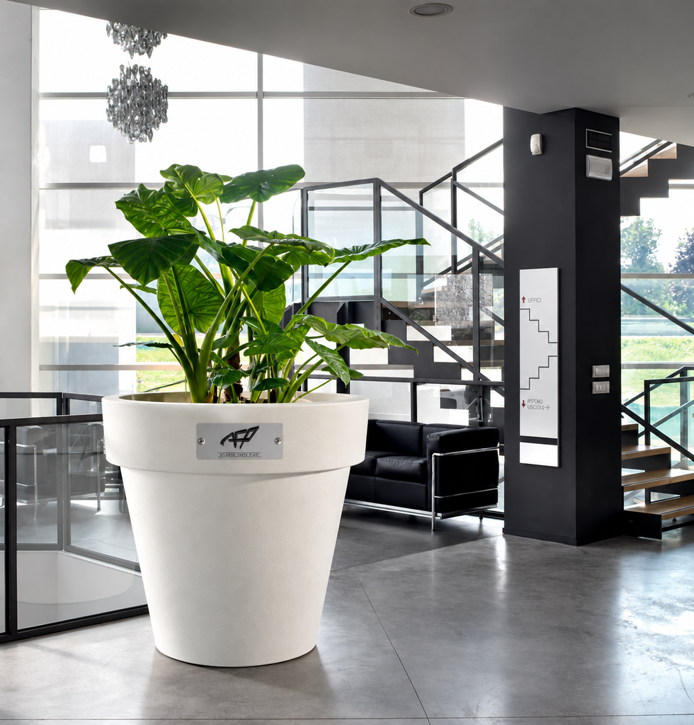 URBANIA XXL (ANTHRACITE VIERGE (code 6875))