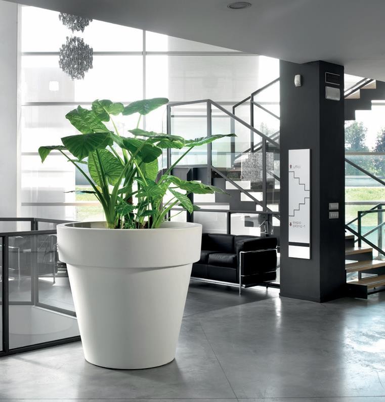URBANIA XXL (ANTHRACITE VIERGE)