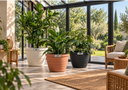 PATIO 55